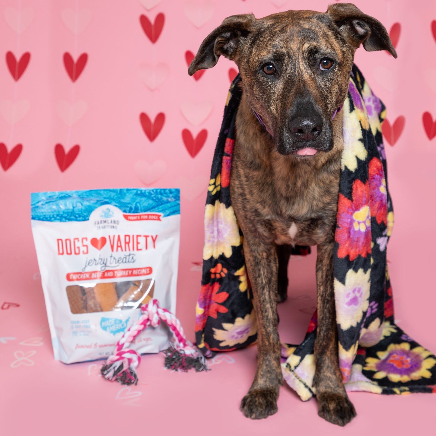 6th Annual Send a Valentine & Love To a Shelter Fur Baby