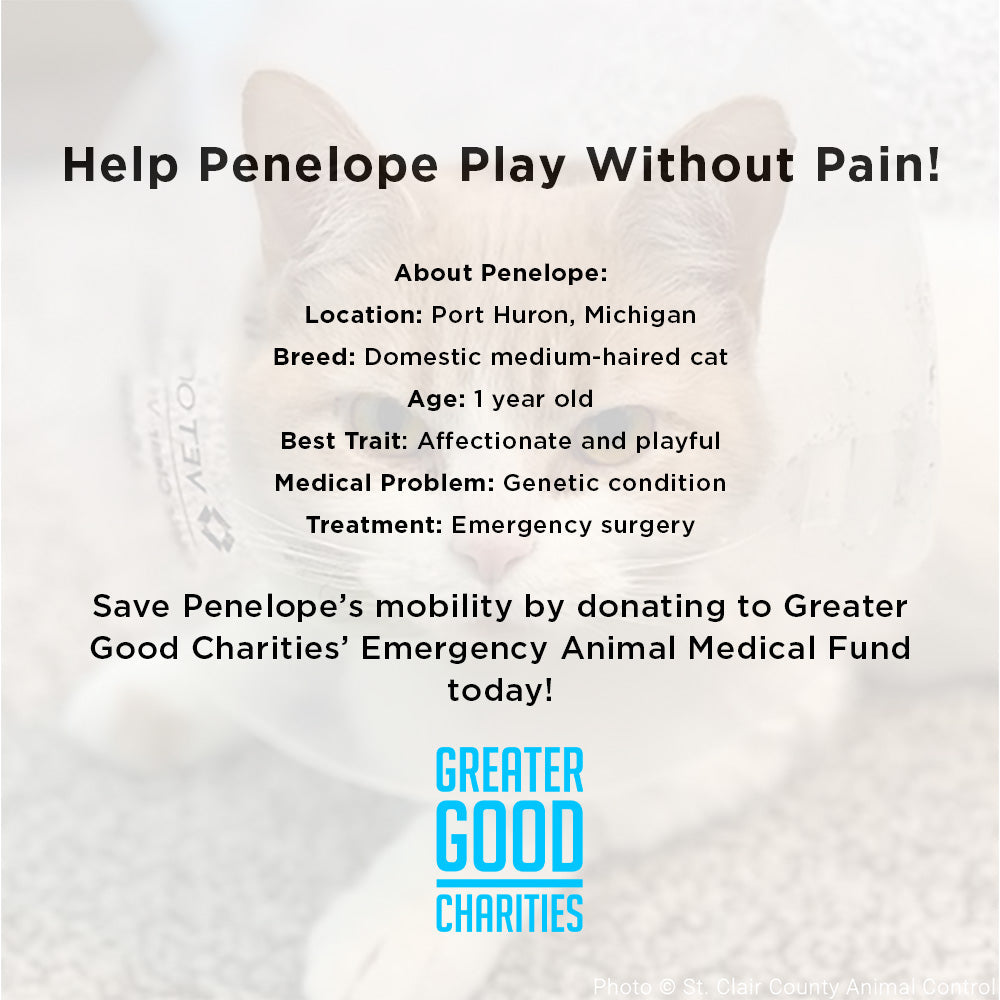 Funded - Help Penelope Play Without Pain