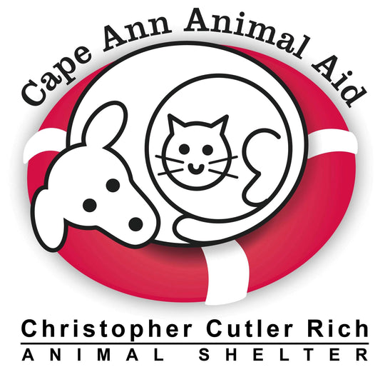 Cape Ann Animal Aid in Gloucester, 506 | Clear The Shelters 2022 image