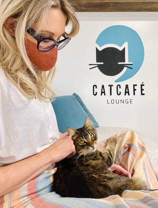 CatCafe Lounge in Los Angeles, 803 | Clear The Shelters 2022 image