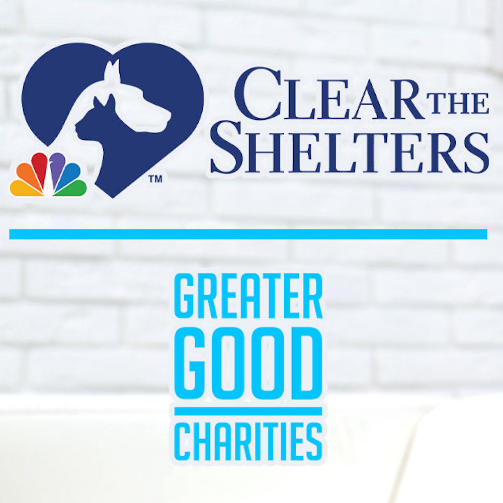 4 Paws 4 U 4 Ever in West Chicago, 602 | Clear The Shelters 2022 image