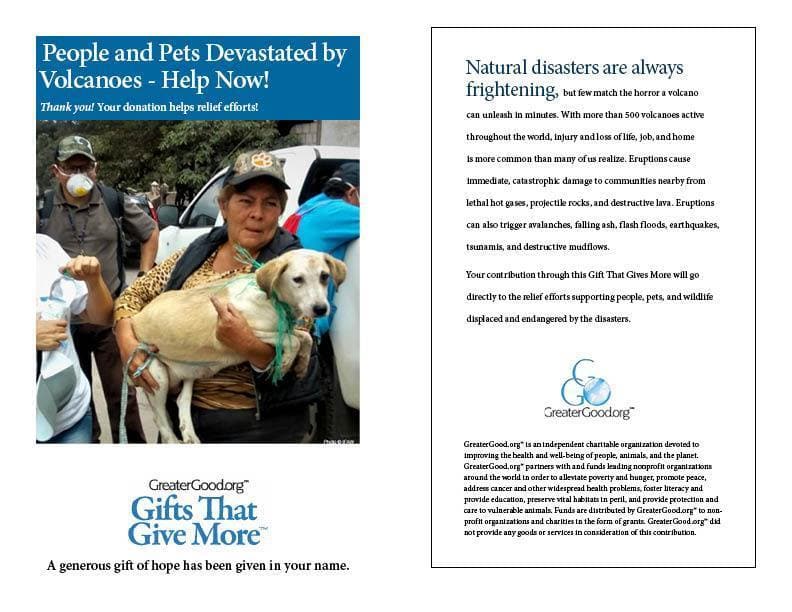 Donation - People And Pets Devastated By Volcanoes - Help Now!