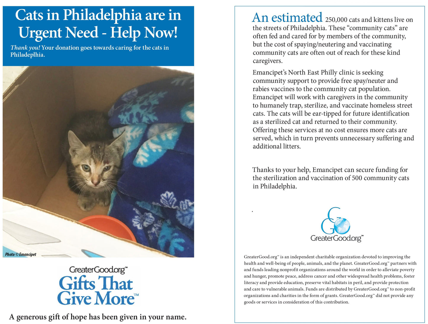 Cats in Philadelphia are in Urgent Need - Help Now!