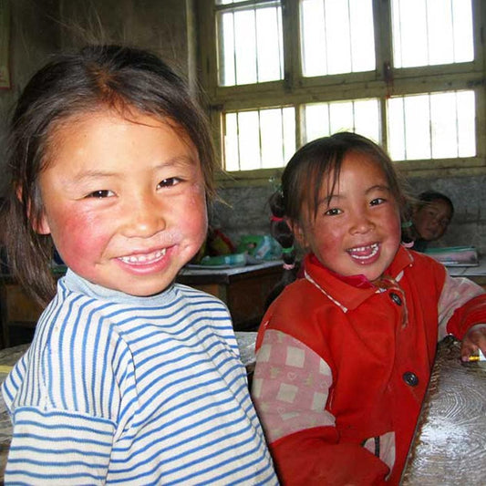 Donation - Help Fund A Natural Birth Center In Tibet