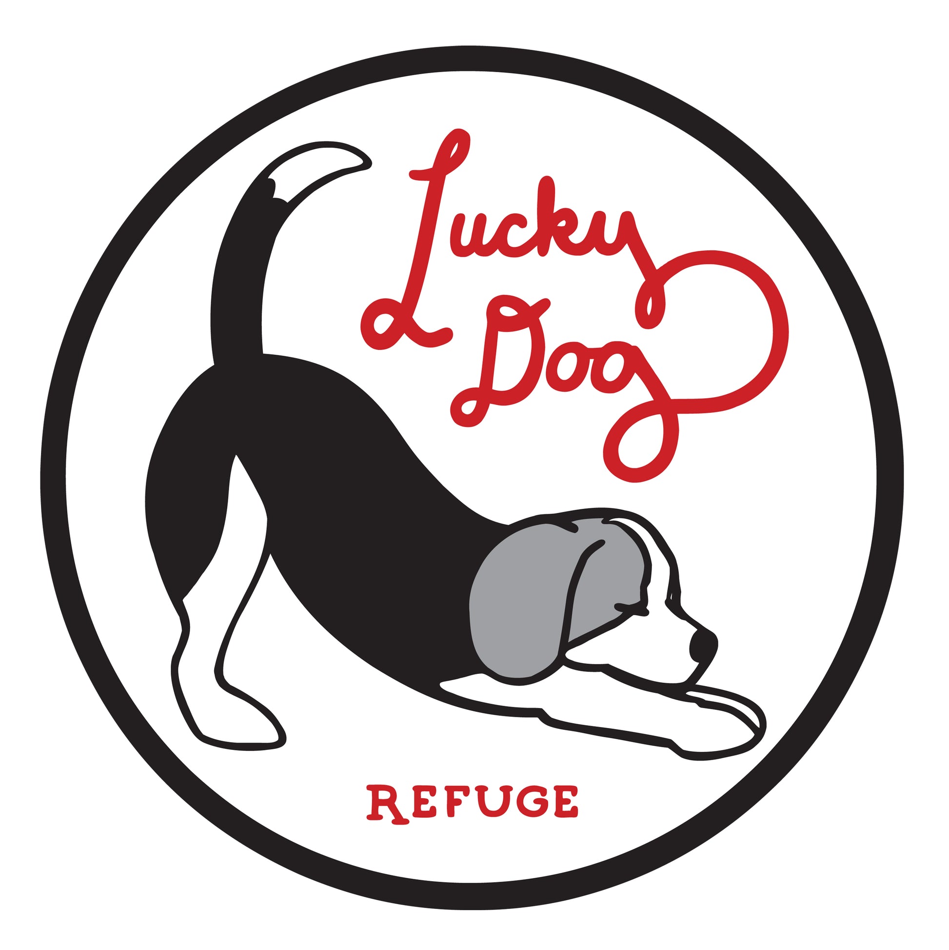 Lucky Dog Refuge in Stamford, 501 | Clear The Shelters 2022 image