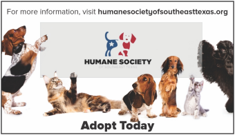 The Humane Society of Southeast Texas in Beaumont, 692 | Clear The Shelters 2022 image