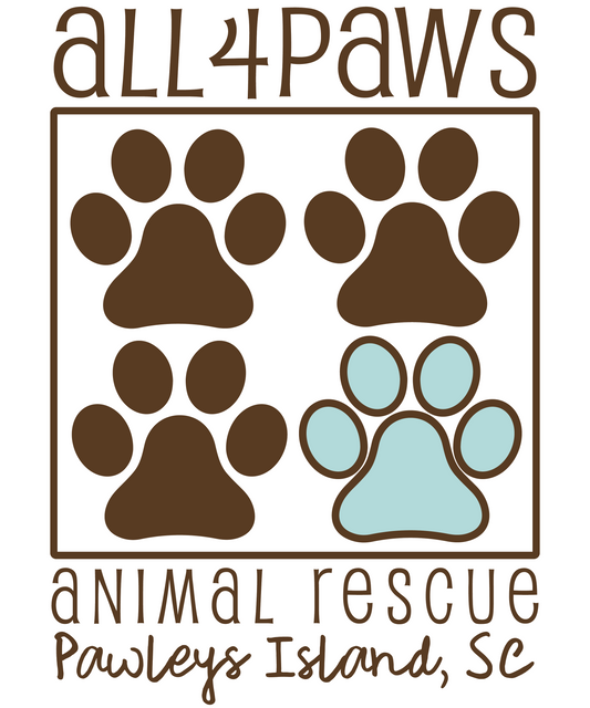 All4Paws in Pawleys Island, 519 | Clear The Shelters 2022 image