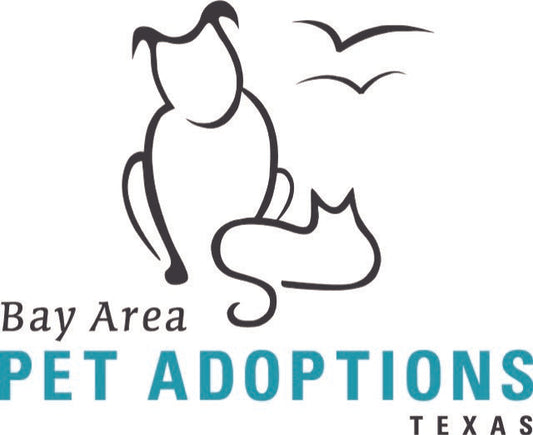 Bay Area Pet Adoptions  in San Leon , 618 | Clear The Shelters 2022 image