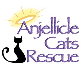 Anjellicle Cats Rescue in New York, 501 | Clear The Shelters 2022 image