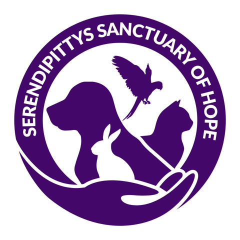 Serendipittys Sanctuary of Hope in Galesburg , 682 | Clear The Shelters 2022 image