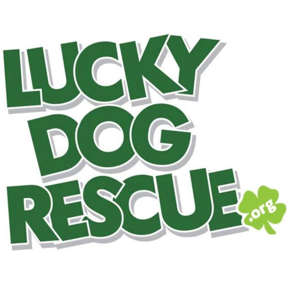 Lucky Dog Rescue Inc in Scottsdale, 753 | Clear The Shelters 2022 image