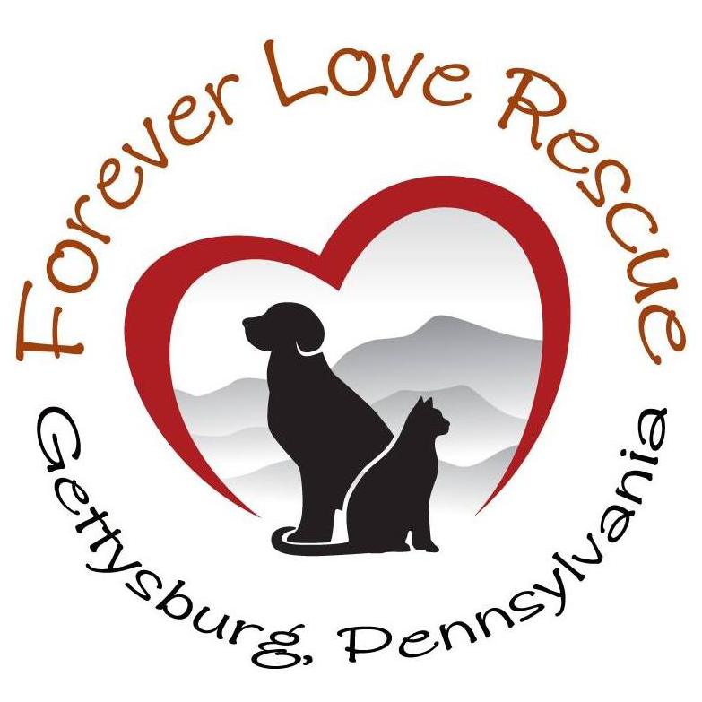 Forever Love Rescue Inc in Gettysburg, 566 | Clear The Shelters 2022 image