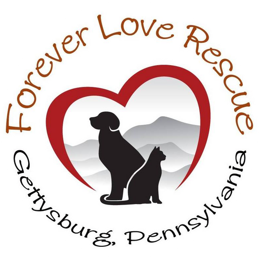 Forever Love Rescue Inc in Gettysburg, 566 | Clear The Shelters 2022 image
