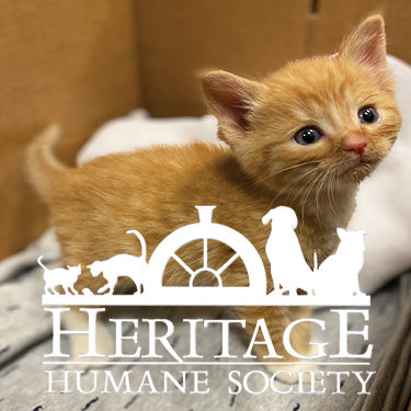 Heritage Humane Society in Williamsburg, 544 | Clear The Shelters 2022 image