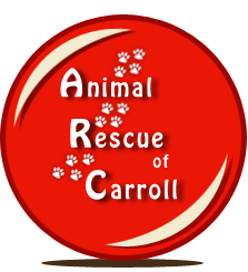 Animal Rescue of Carroll in Carroll, 679 | Clear The Shelters 2022 image