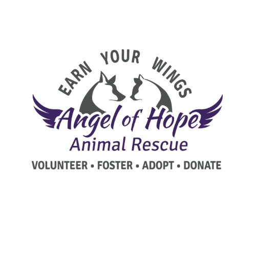 Angel of Hope Animal Rescue in Anoka, 613 | Clear The Shelters 2022 image