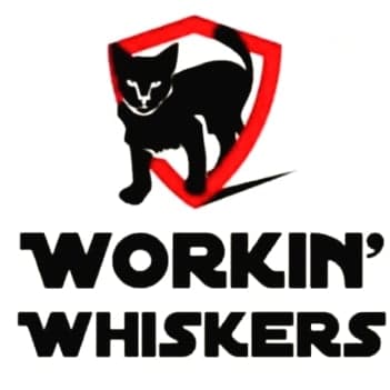 Workin' Whiskers Inc in Hemet, 803 | Clear The Shelters 2022 image