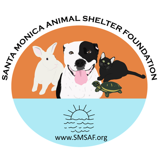 Santa Monica Animal Shelter Foundation in Santa Monica, 803 | Clear The Shelters 2022 image