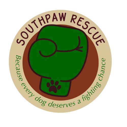Southpaw Rescue in Forest Falls, 803 | Clear The Shelters 2022 image