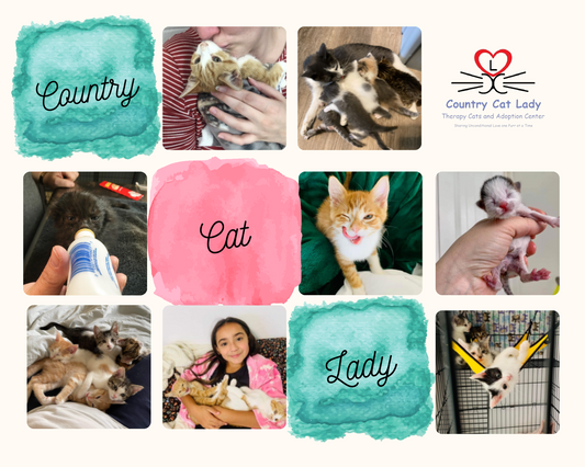 Country Cat Lady in Wayland, 563 | Clear The Shelters 2022 image