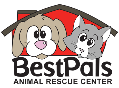 BestPals Animal Rescue Center in Holland, 563 | Clear The Shelters 2022 image