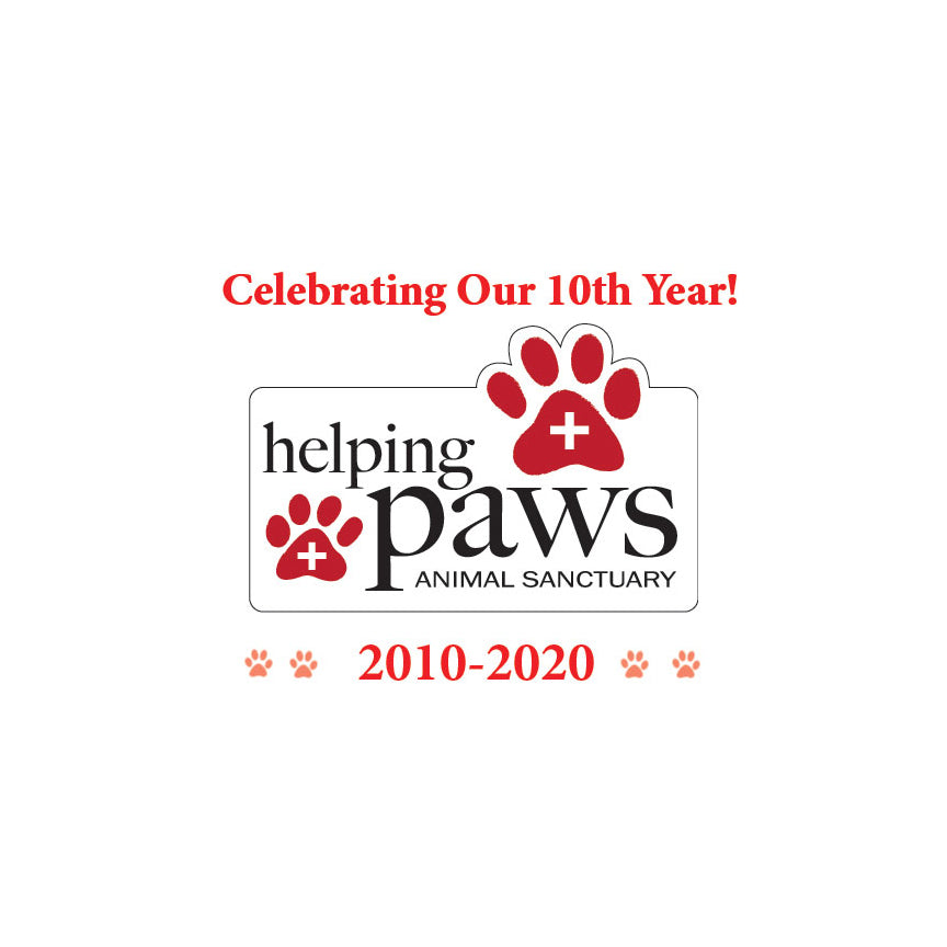 Helping Paws Animal Sanctuary  in Saint James City, 571 | Clear The Shelters 2022 image