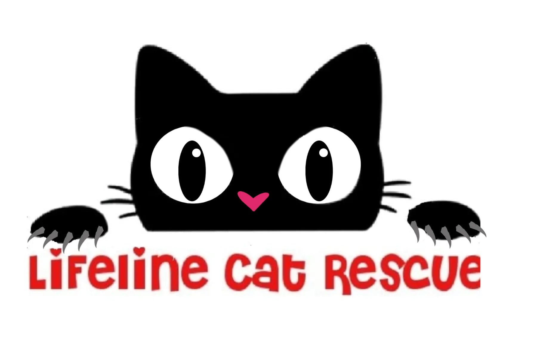LiFeline Cat Rescue and Network Inc  in Dayton, 542 | Clear The Shelters 2022 image
