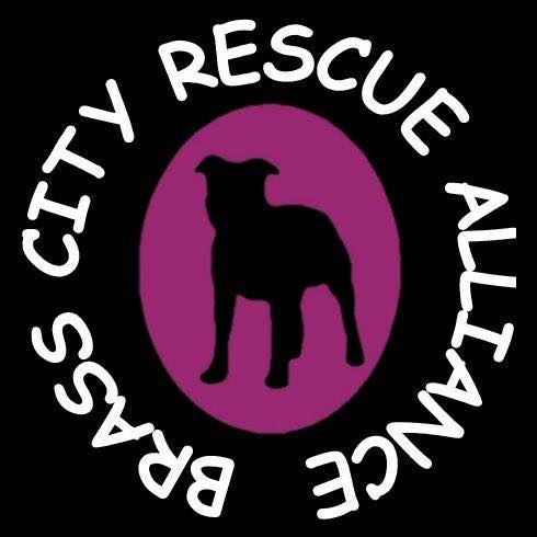 Brass City Rescue Alliance in Middlebury, 533 | Clear The Shelters 2022 image