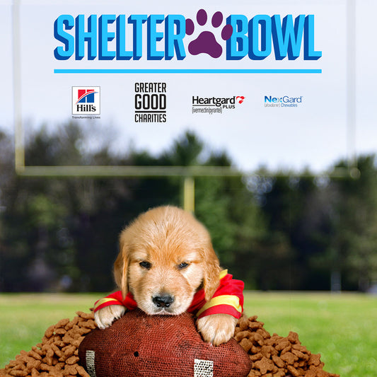 Shelter Bowl 2023: Feed Shelter Animals