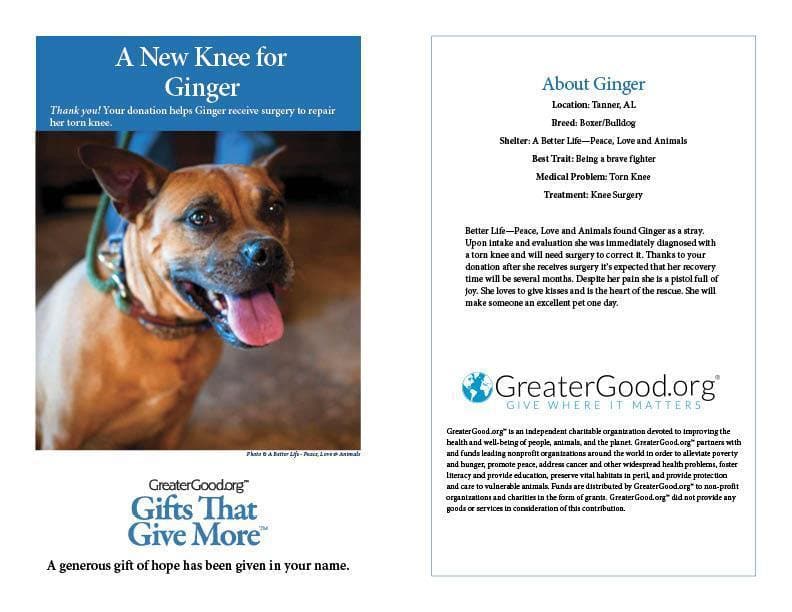 Donation - A New Knee For Ginger