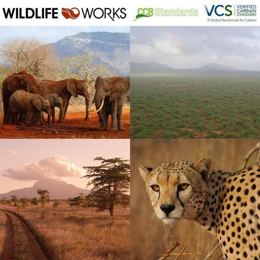Donation - Kenyan Habitat Preservation Carbon Offset
