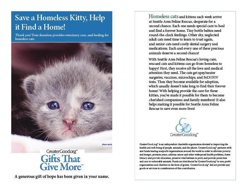 Donation - Save A Homeless Kitty, Help It Find A Home!